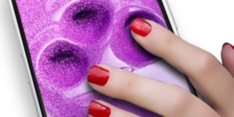 Super Slime Simulator