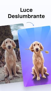 photoroom screenshot 5