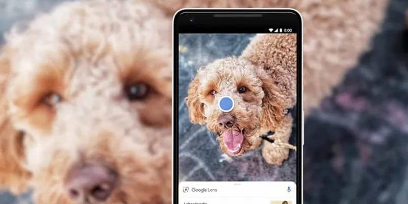 Google Lens