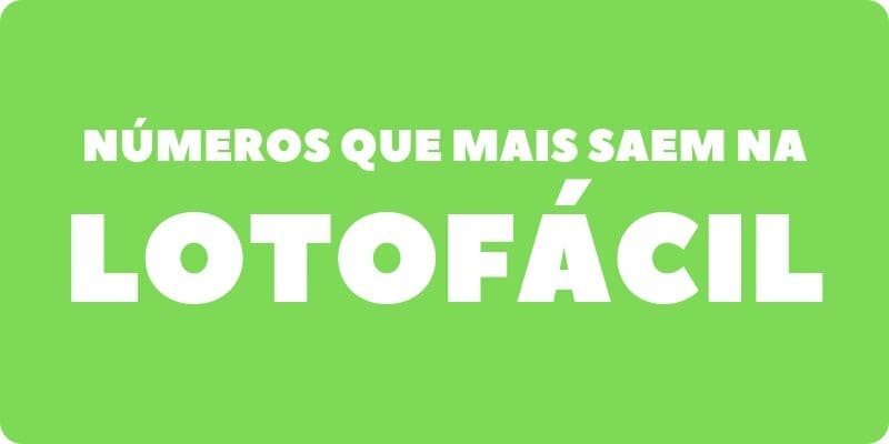 Jogo do Bicho